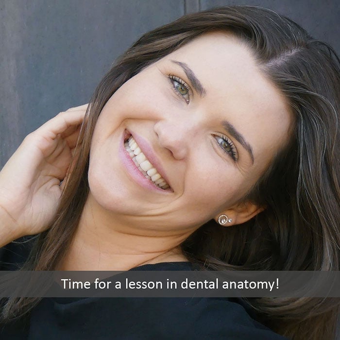 dental-anatomy