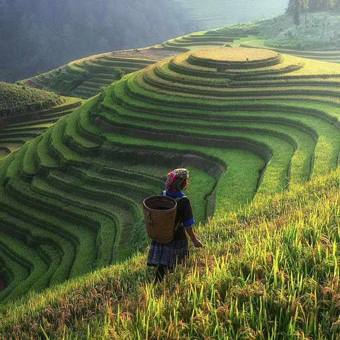 ancient-dental-health